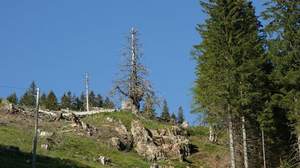 Wohnpark Schwarzwaldblick Bernau Quarto foto